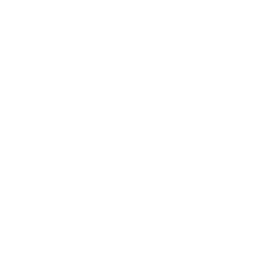 C1991